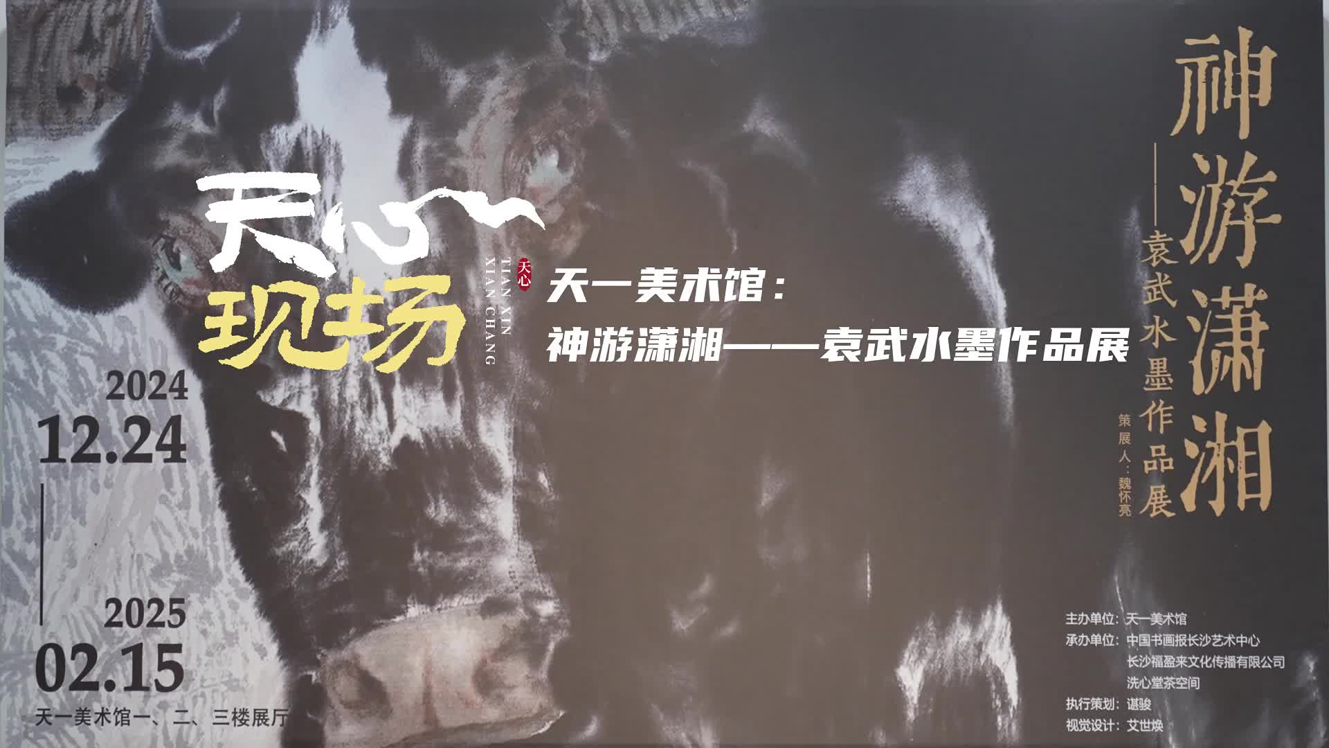 天心现场 ⑥丨 天一美术馆：神游潇湘——袁武水墨作品展
