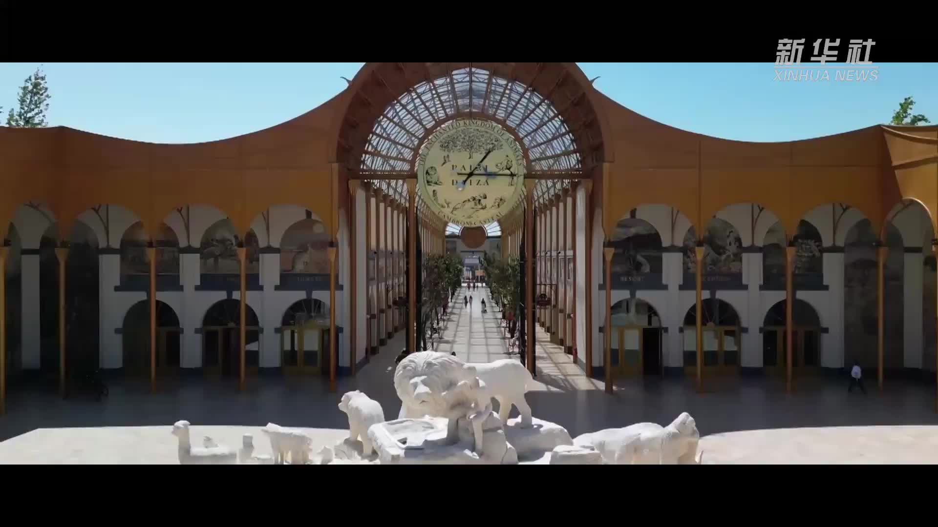 习近平与外国友人的故事｜花开满树情常在