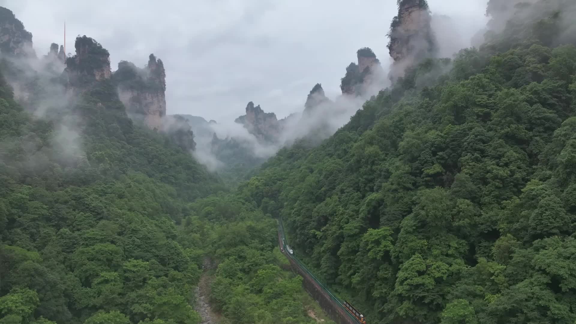 张家界十里画廊 云雾之中露翠色