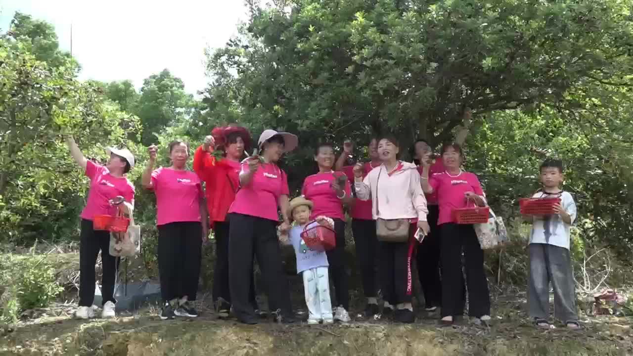 “扬眉吐气，金榜题名”武冈市民采杨梅为高考考生祈福