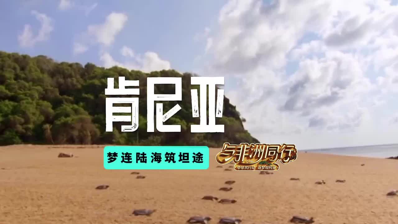 建设肯尼亚——为海龟让出一条“生命通道”