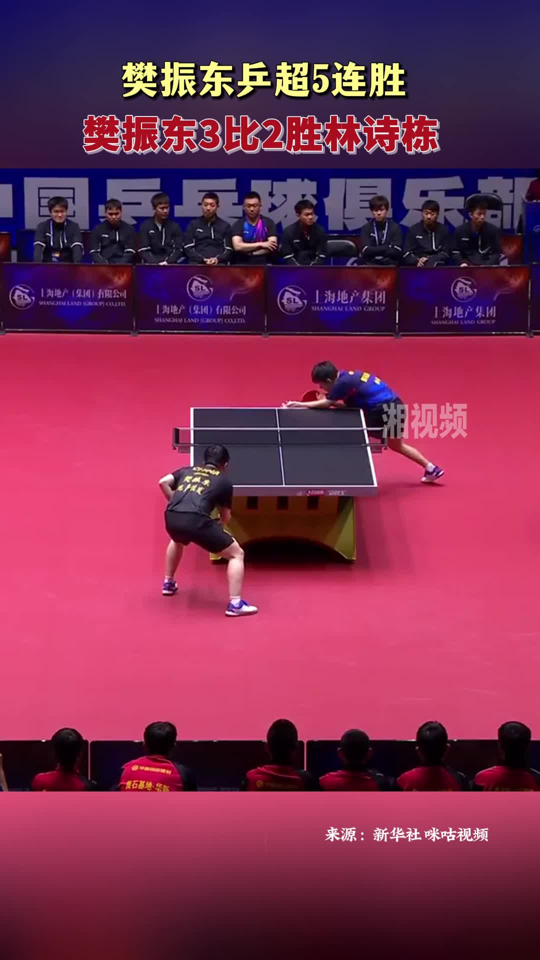 樊振东3比2胜林诗栋