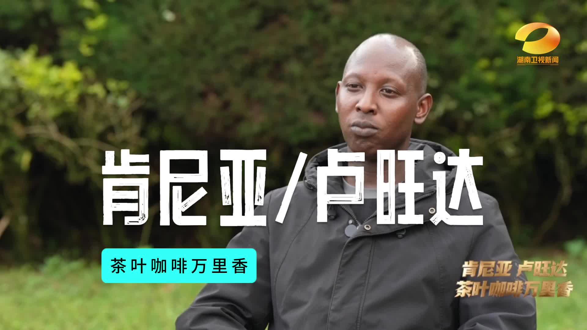 当非洲遇上中国茶 当“急脾气”遇上懂他当兄弟 中国技术在卢旺达开花结果