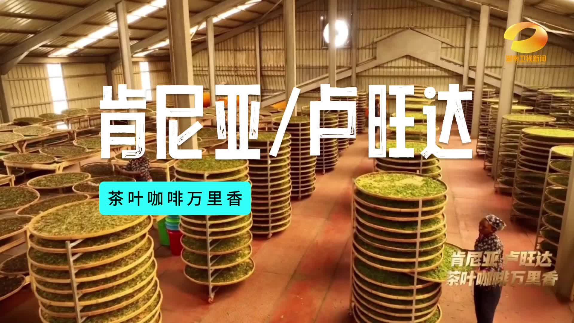 “急脾气”其实是“刀子嘴豆腐心”当危机突然来领 迟玉文该如何化解？