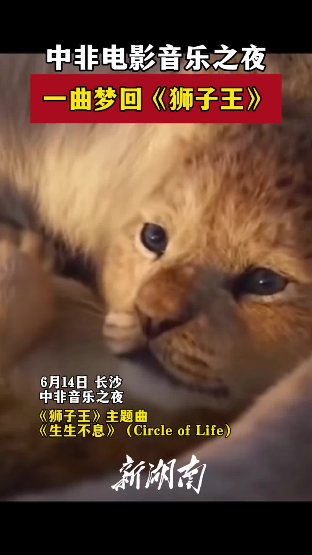 视频|中非电影音乐之夜，一曲梦回《狮子王》