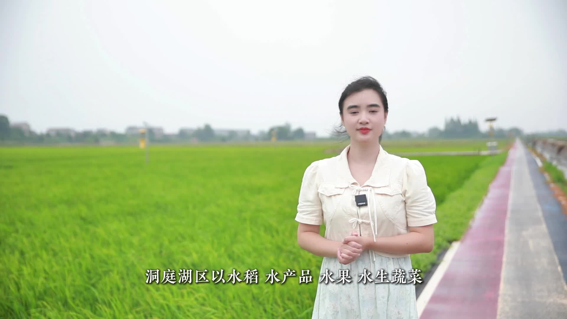 【洞庭风物志】独特的湖乡滋味，让平凡的日子活色生香