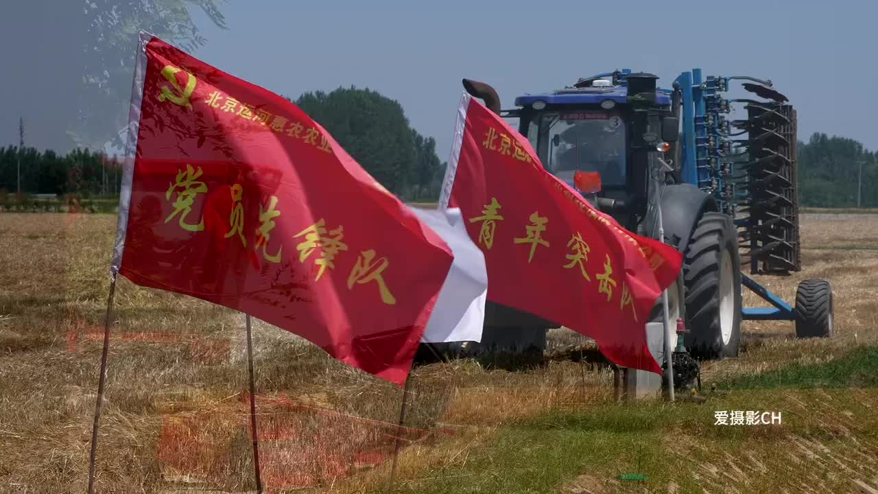金色麦田阳光下闪光芒，北京“两高一智”高标准示范农田迎丰收！