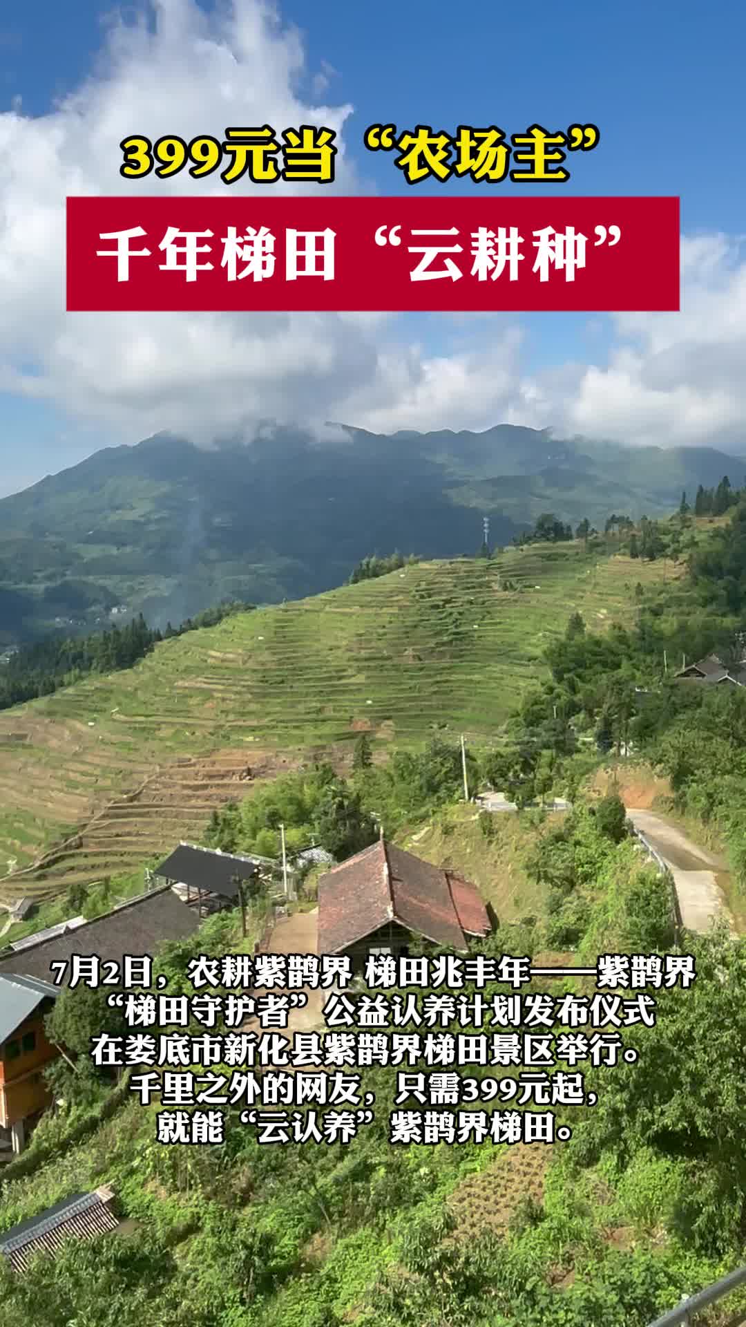 視頻|399元當(dāng)“農(nóng)場主”，千年梯田“云耕種”！