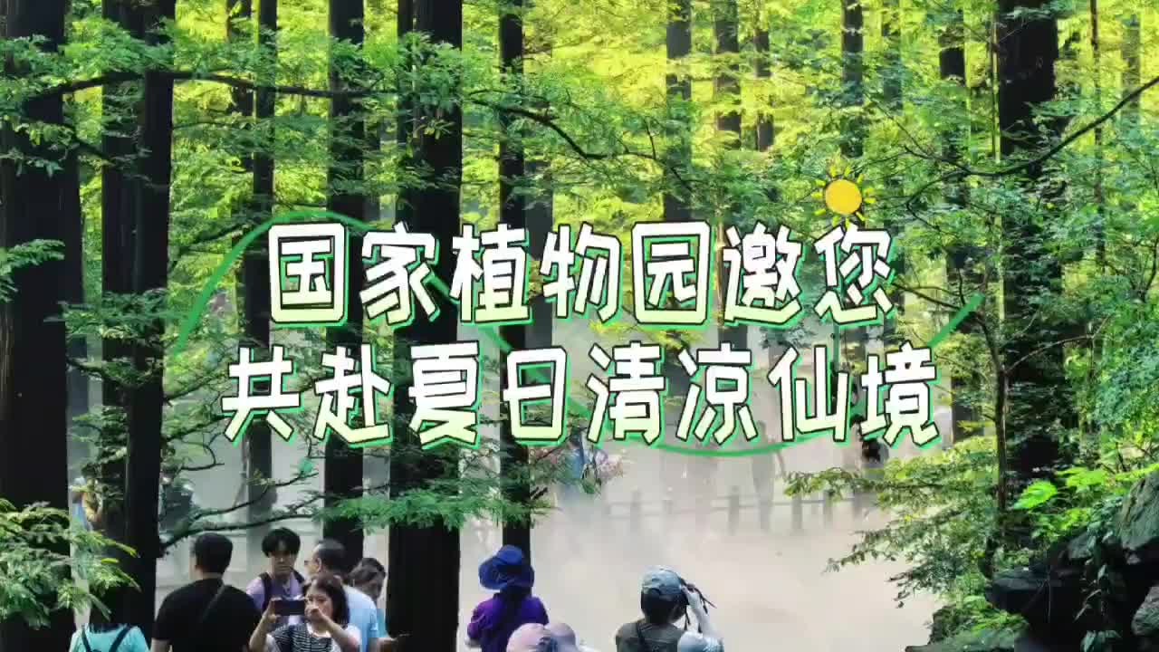 國家植物園水杉林噴霧暑期增加開放時間
