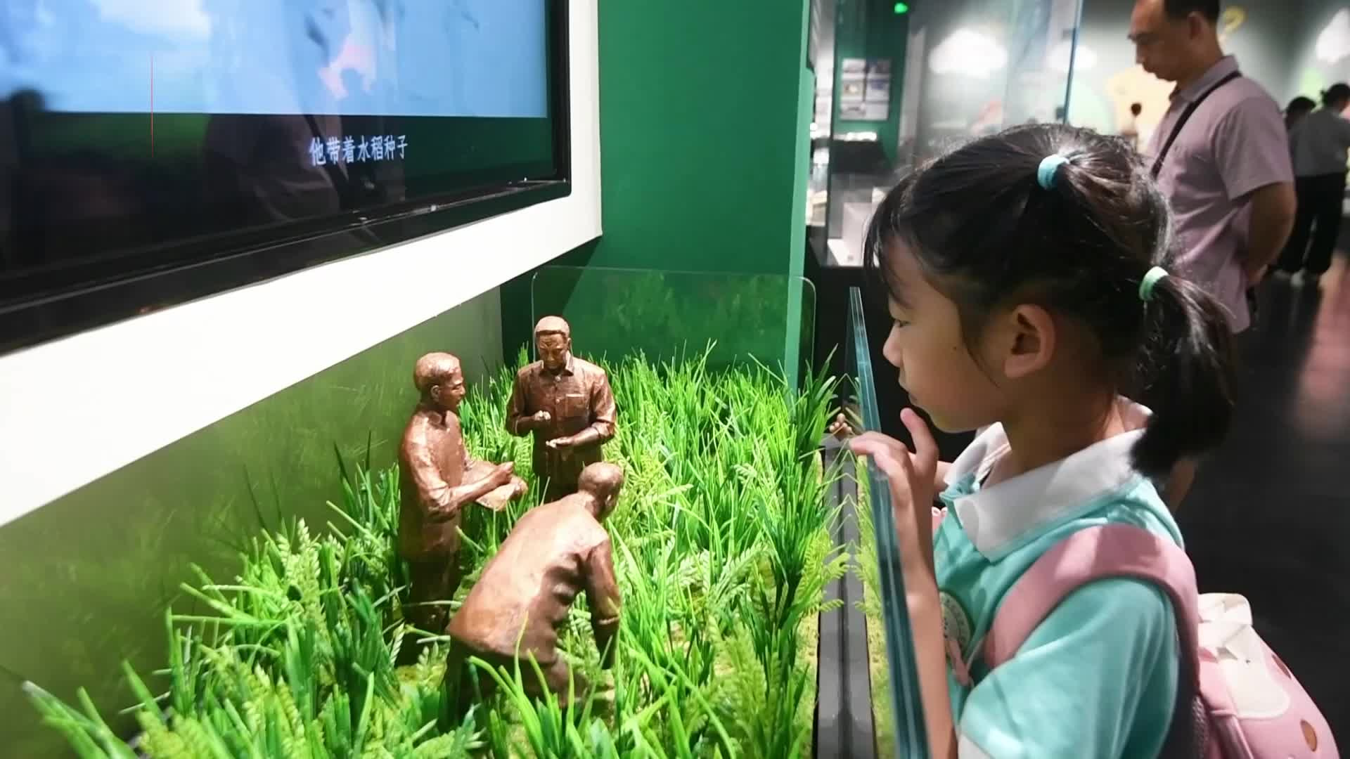 走進(jìn)水稻博物館 解密“種子精神”