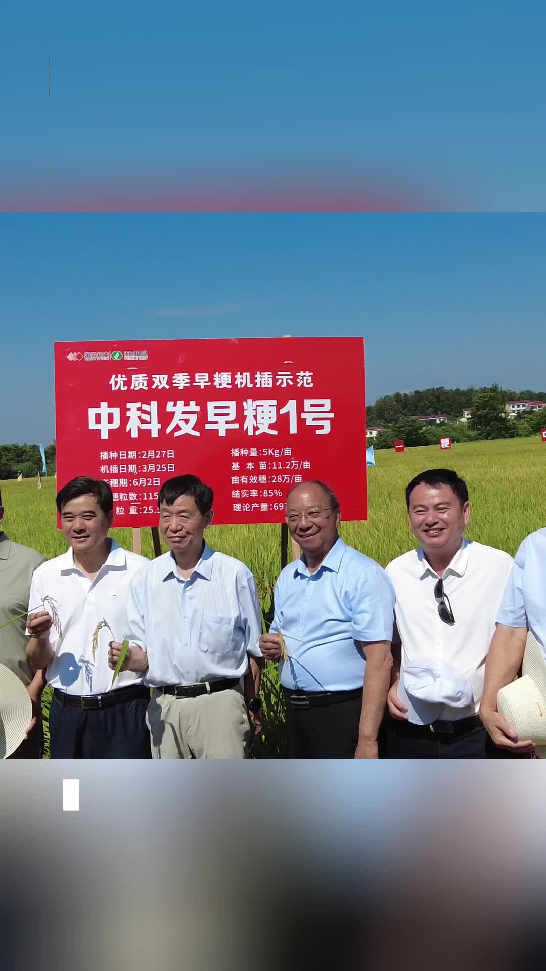 平均畝產(chǎn)604.5kg！“中科發(fā)早粳1號”長沙再獲突破