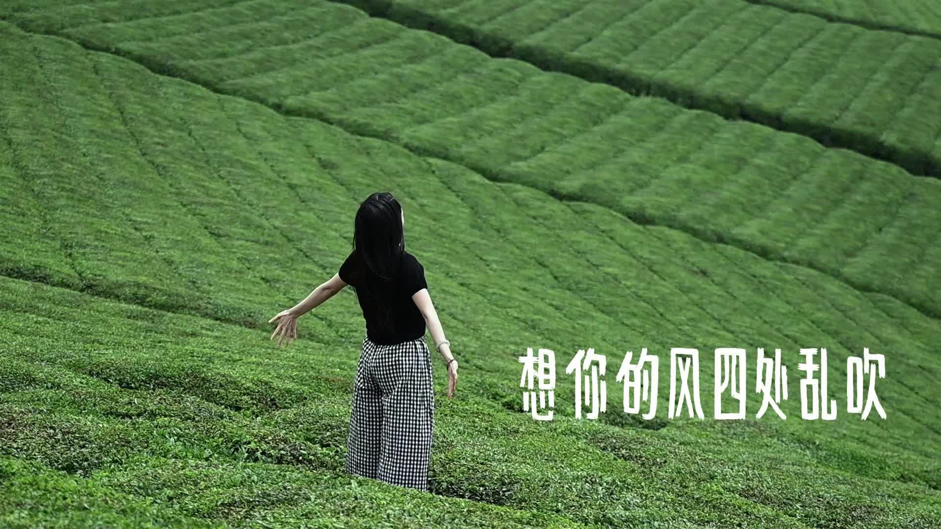 走進石門 清爽一夏⑨｜東山峰上吹吹風(fēng)