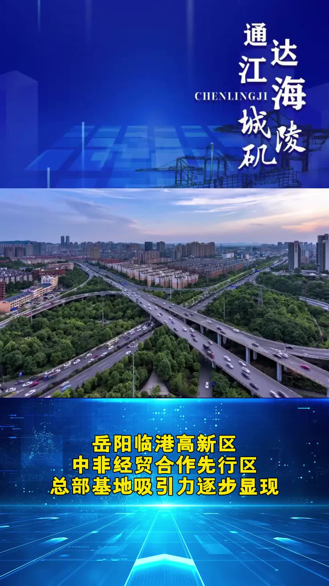岳阳临港高新区：中非经贸“引力场”系列报道①
