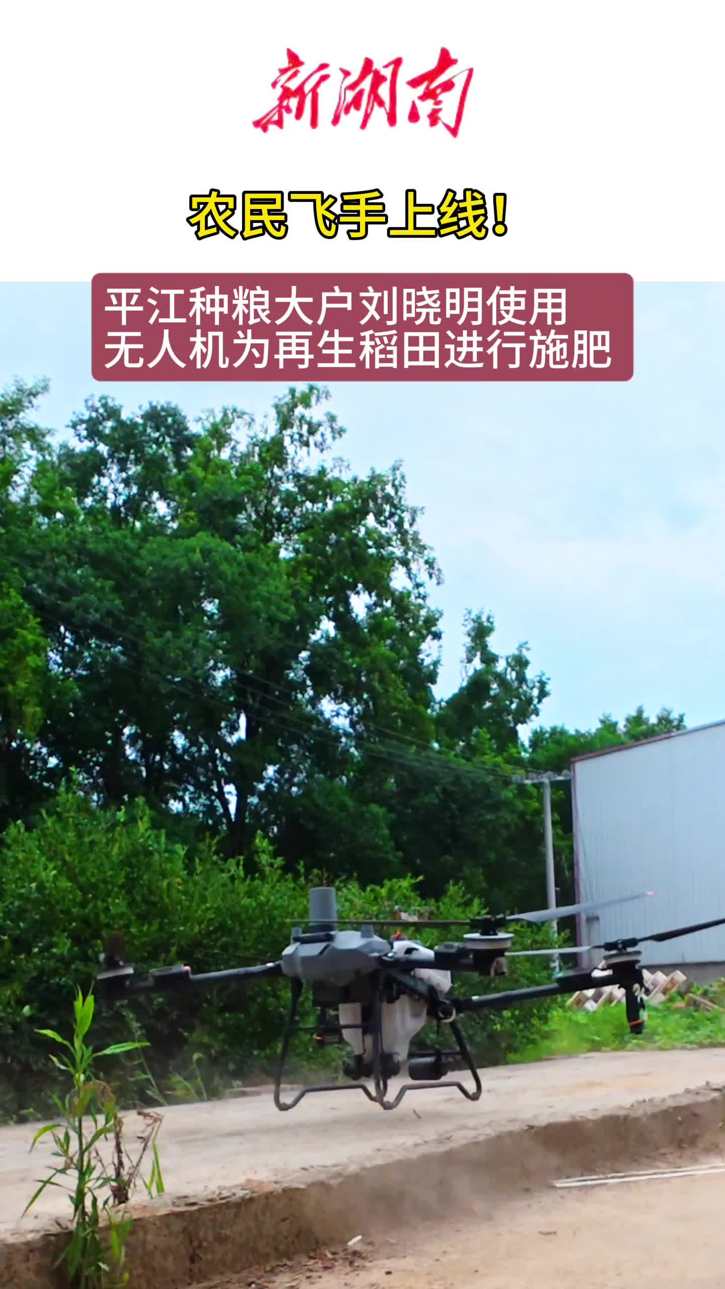農(nóng)民飛手上線！無人機“播撒”科技范兒