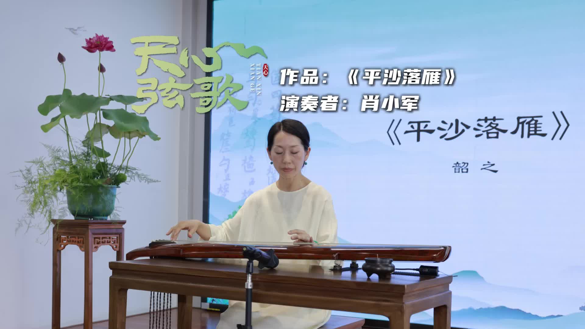 天心弦歌②丨平沙落葉