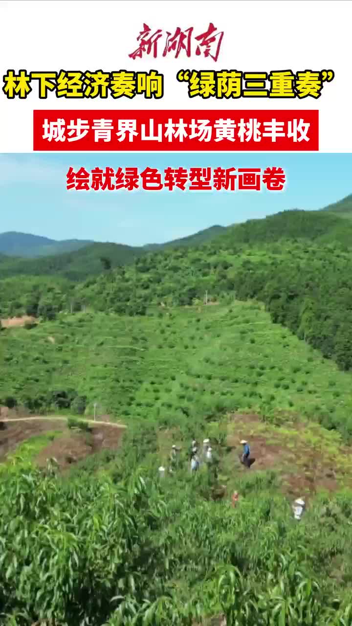 城步：林下經(jīng)濟(jì)奏響“綠蔭三重奏”多元融合繪就綠色轉(zhuǎn)型新畫卷