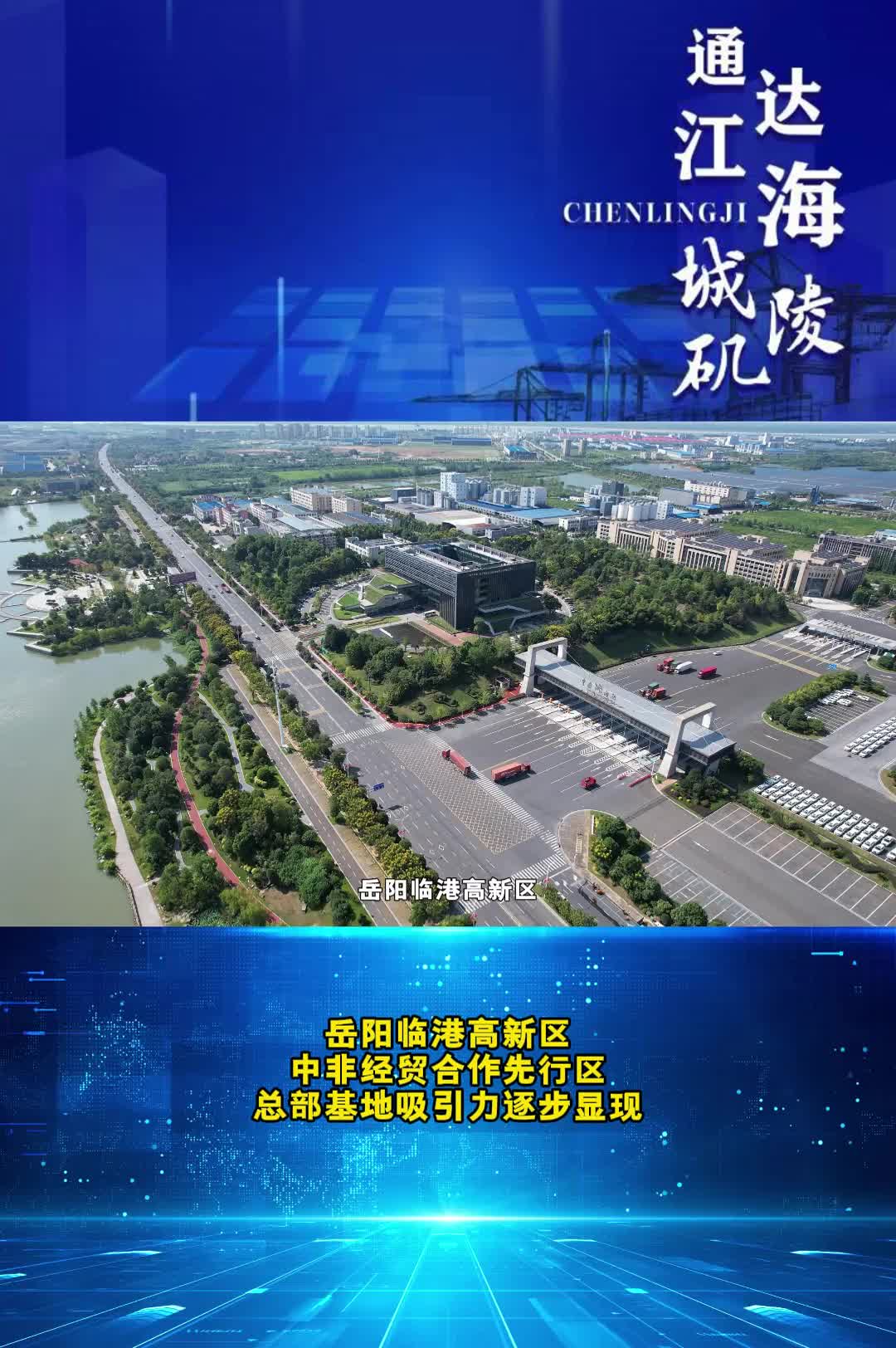 【岳阳临港高新区：中非经贸“引力场”系列报道②】走进一家国家级4A现代综合服务型物流企业——浩通国际货运代理