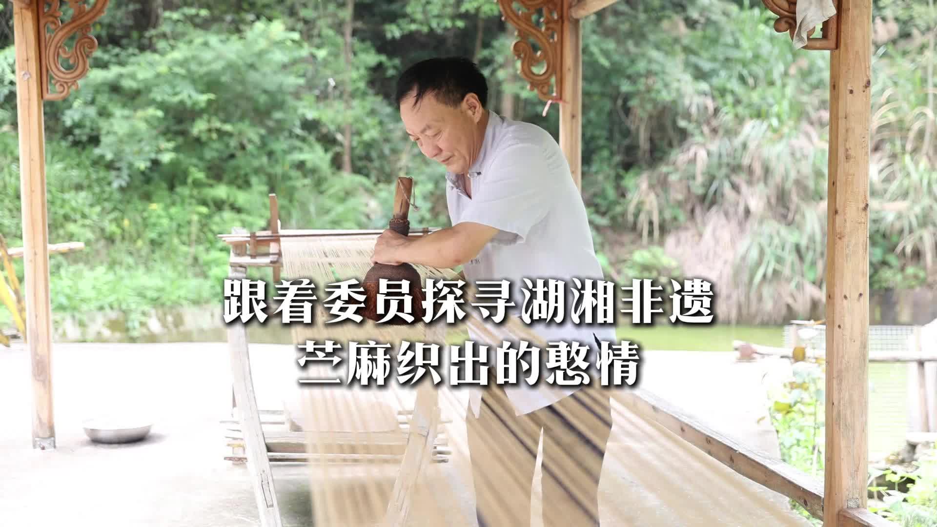 苧麻織出的憨情