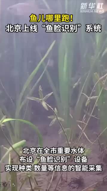 北京上線“魚(yú)臉識(shí)別”系統(tǒng)