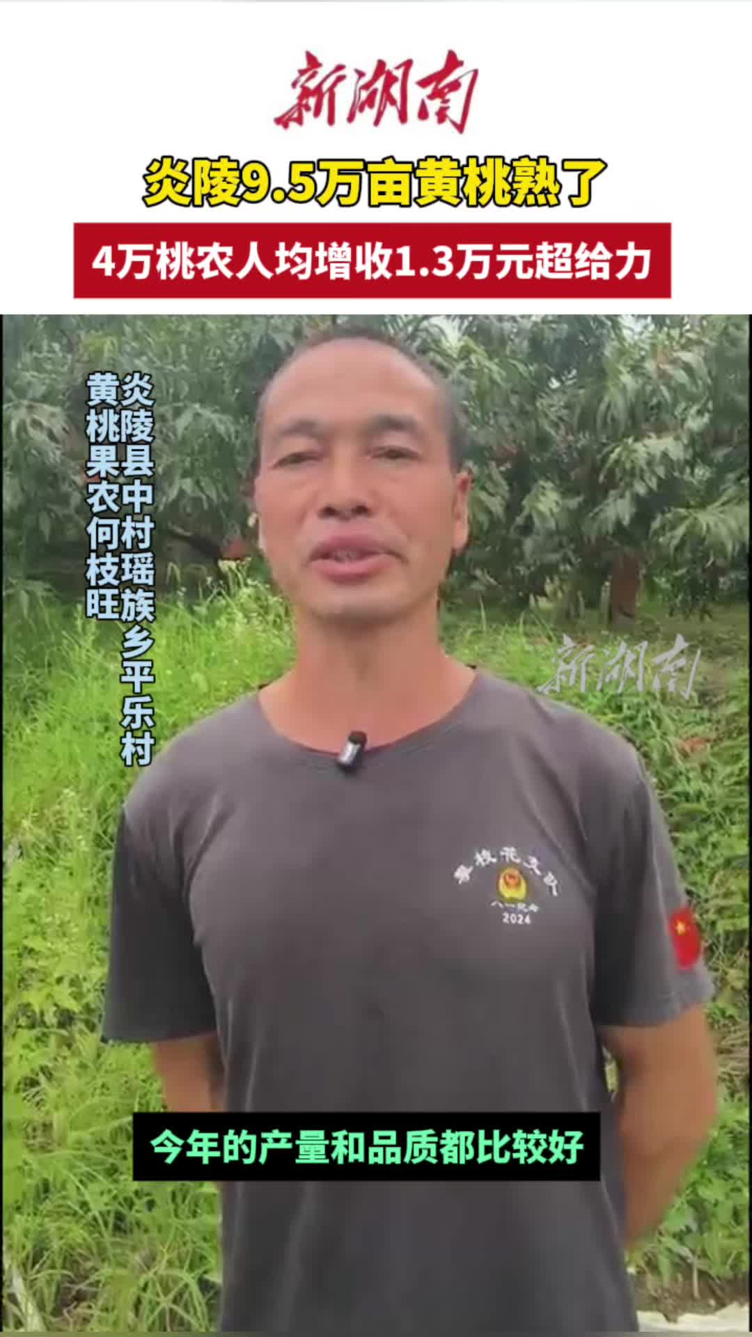 炎陵4万桃农人均增收1.5万元