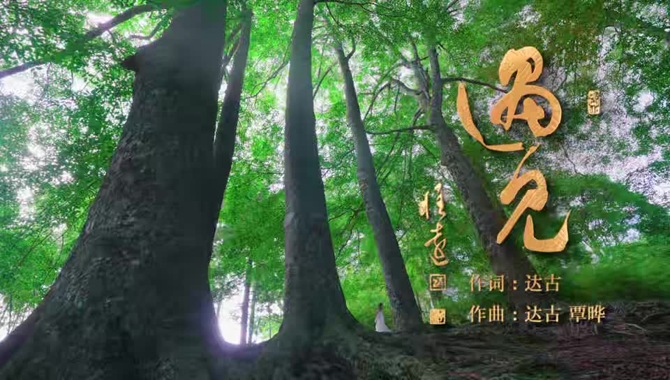 《遇见》MV火热发布