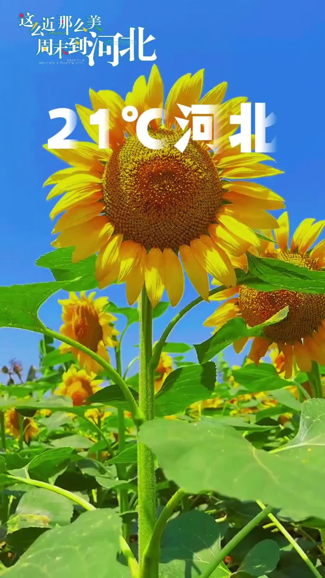 21℃河北，藏在張家口山水間