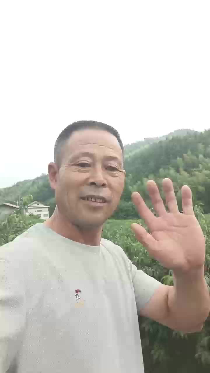 視頻 | 我的黃桃記憶——肖石明