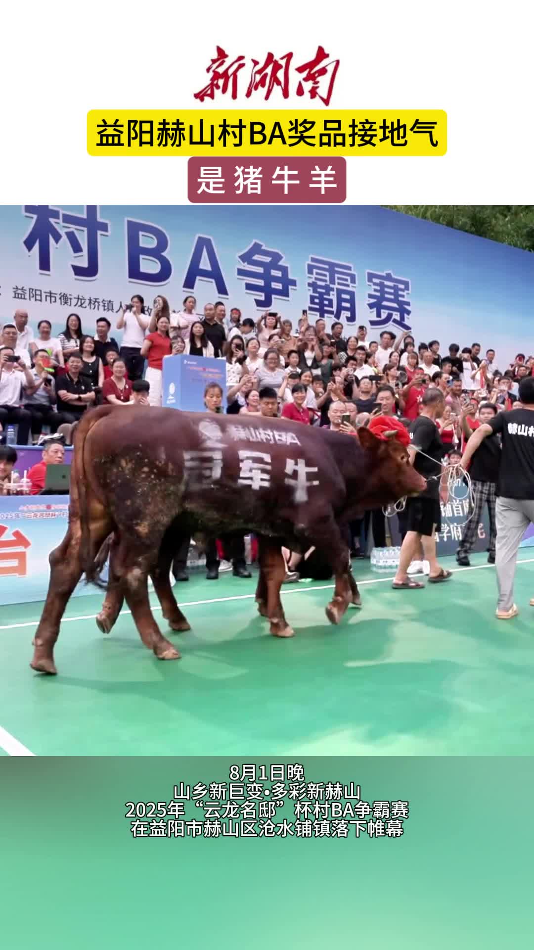 益陽赫山村BA，獎(jiǎng)品接地氣，是豬牛羊