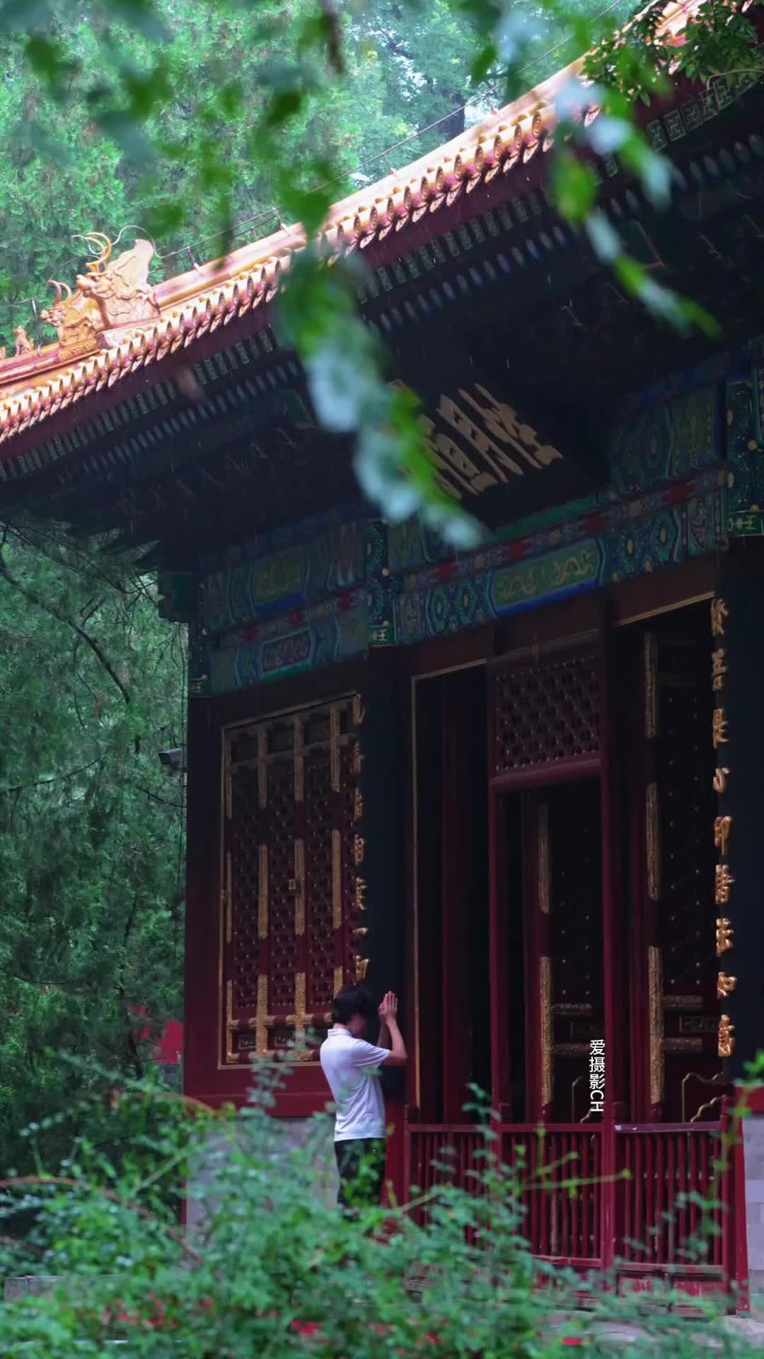 聽雨臥佛寺，暫忘世間喧