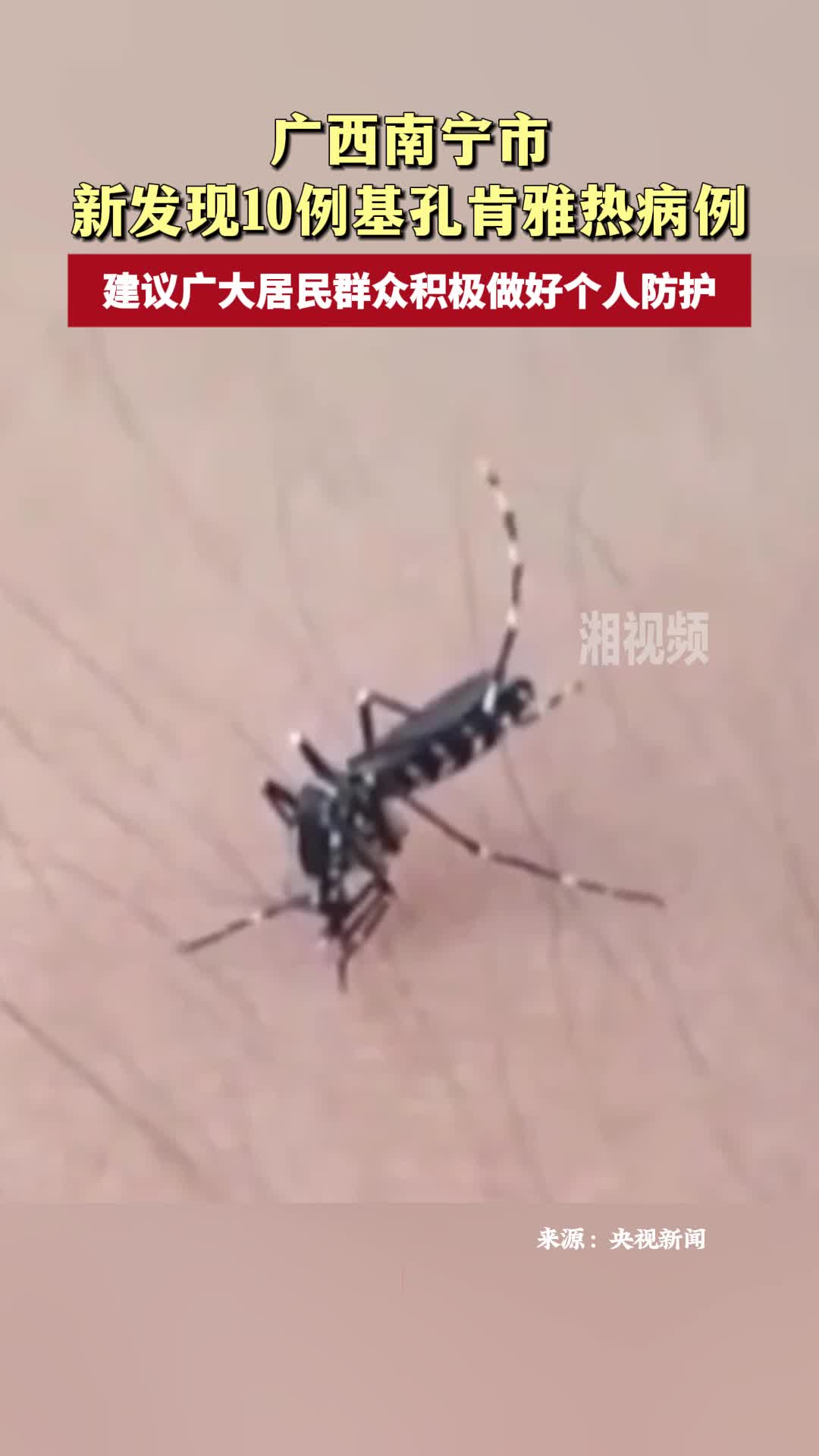 廣西南寧市新發(fā)現(xiàn)10例基孔肯雅熱病例