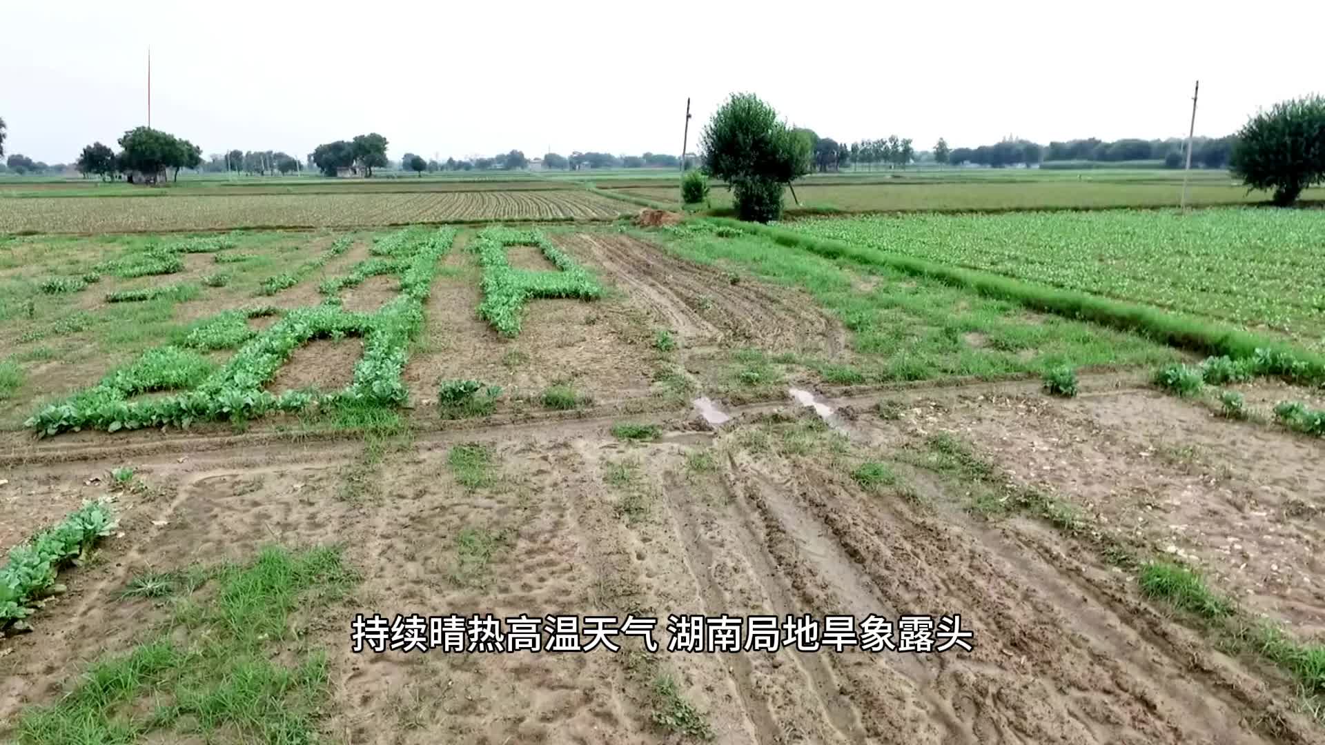 湖南局地旱象露頭                                                                             秋冬或有較重干旱，請(qǐng)?zhí)崆白龊帽Ｋ９?
