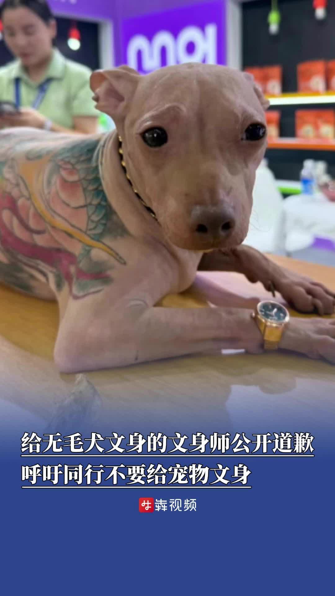 給無(wú)毛犬文身的文身師公開(kāi)道歉，稱無(wú)意間虐待動(dòng)物，呼吁同行不要給寵物文身