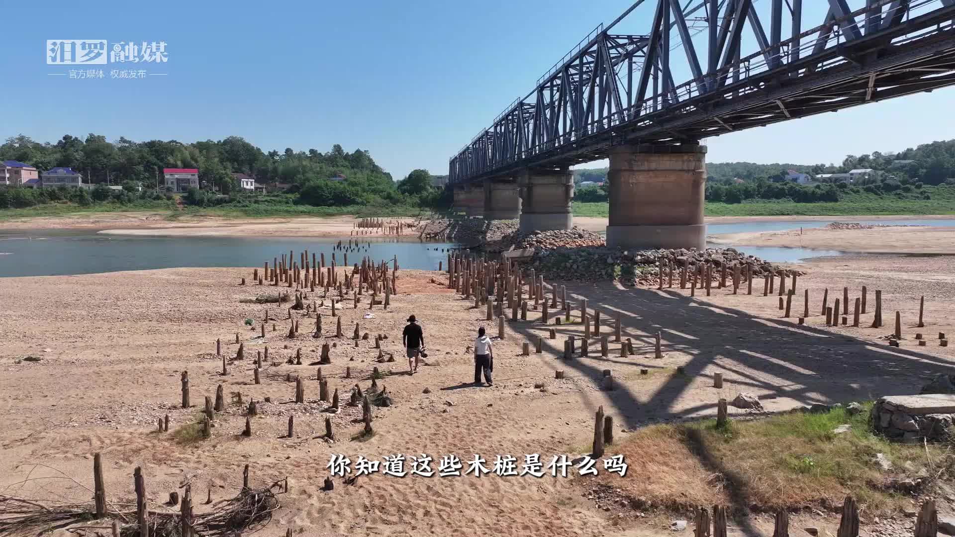 汨羅江木樁見證的民族血淚
