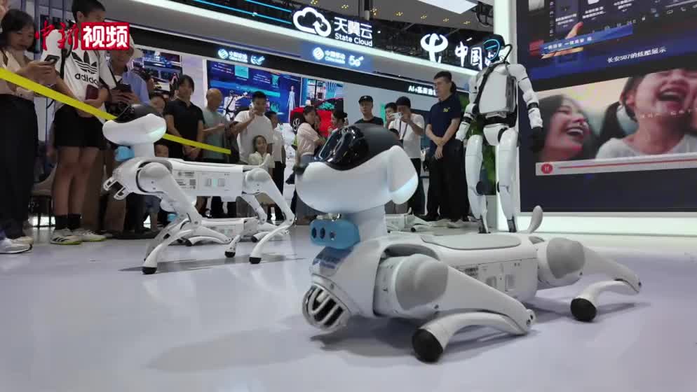 会倒立 爱撒娇 拟人化家庭“电子宠物”亮相重庆