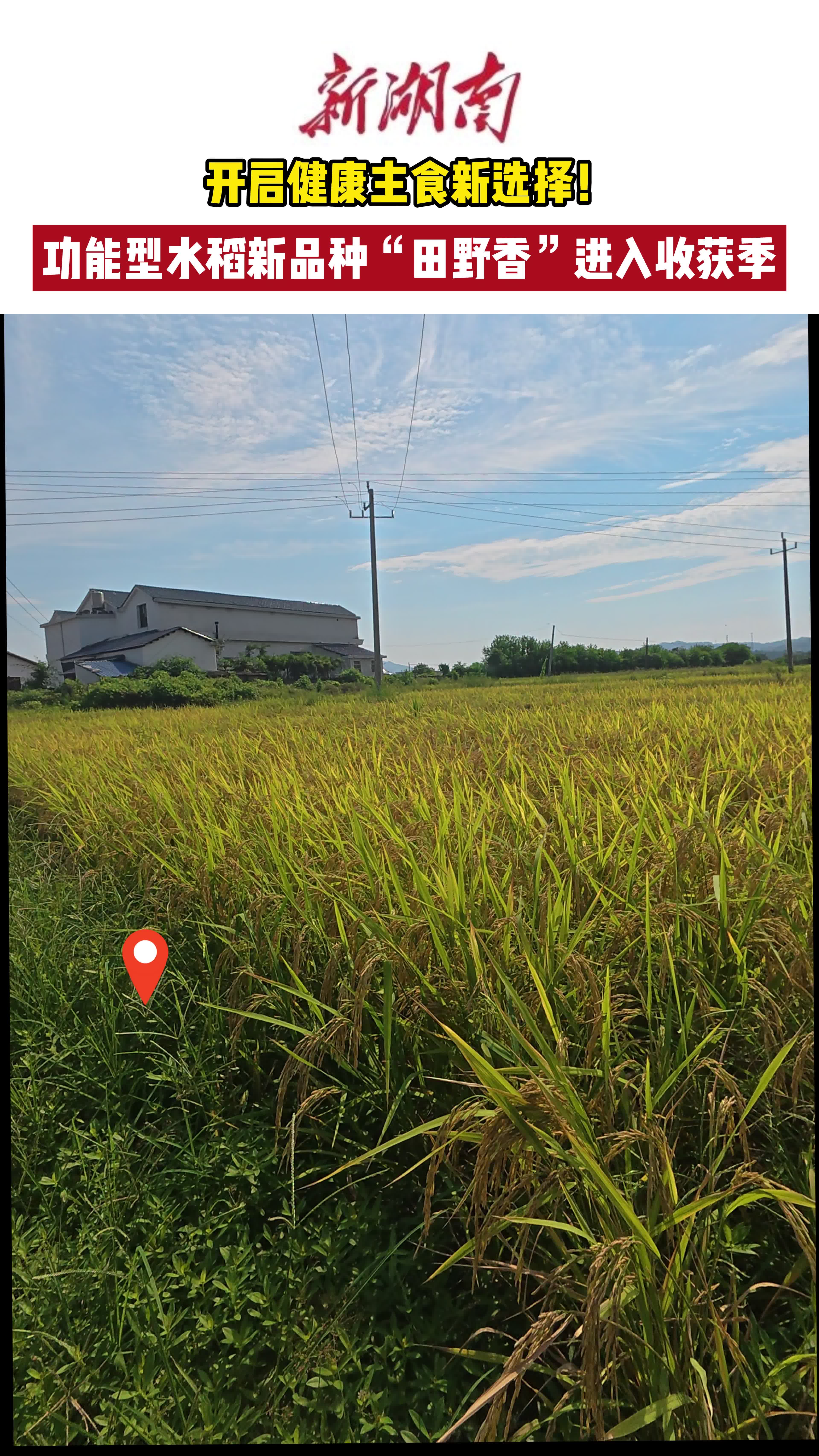 健康主食新赛道崛起：山润公司的科技创新与产业赋能
