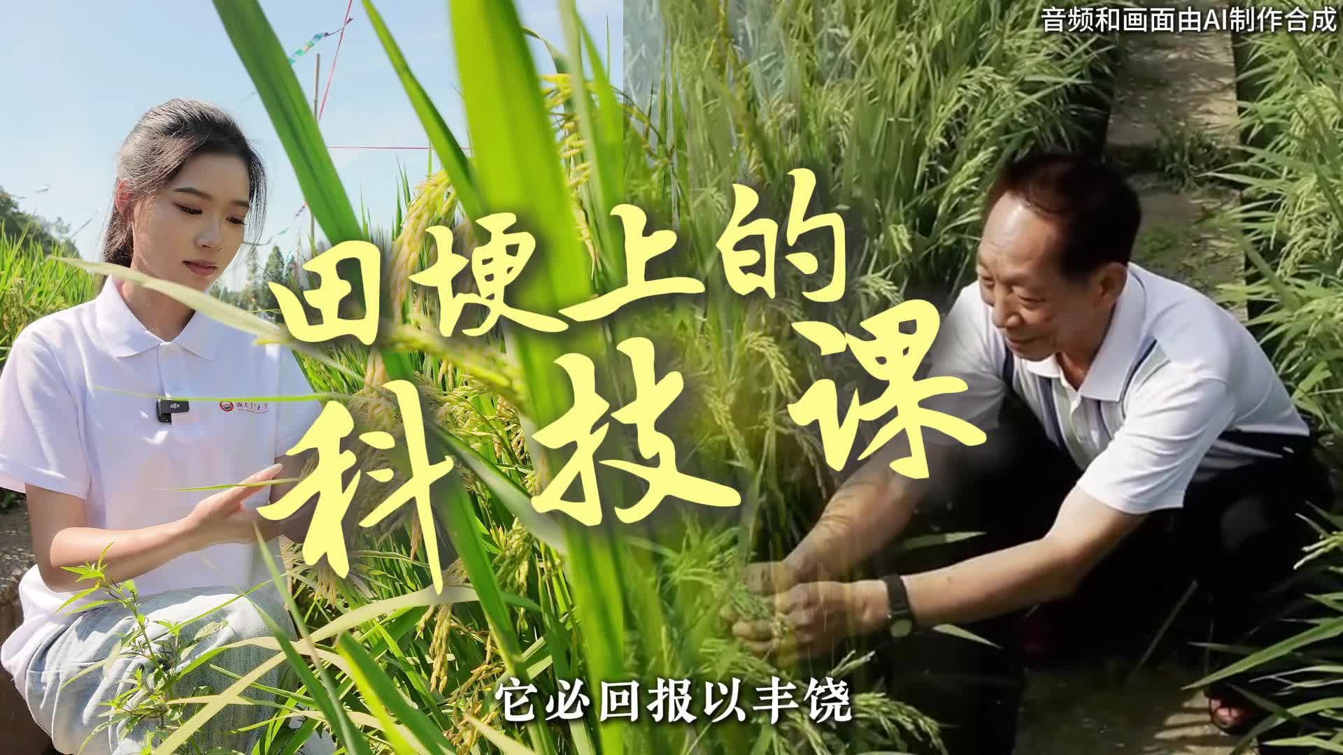 AI视频 | 田埂上的科技课