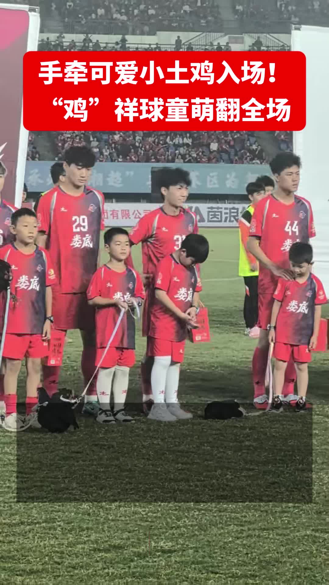 手牽可愛小土雞入場！“雞”祥球童萌翻全場