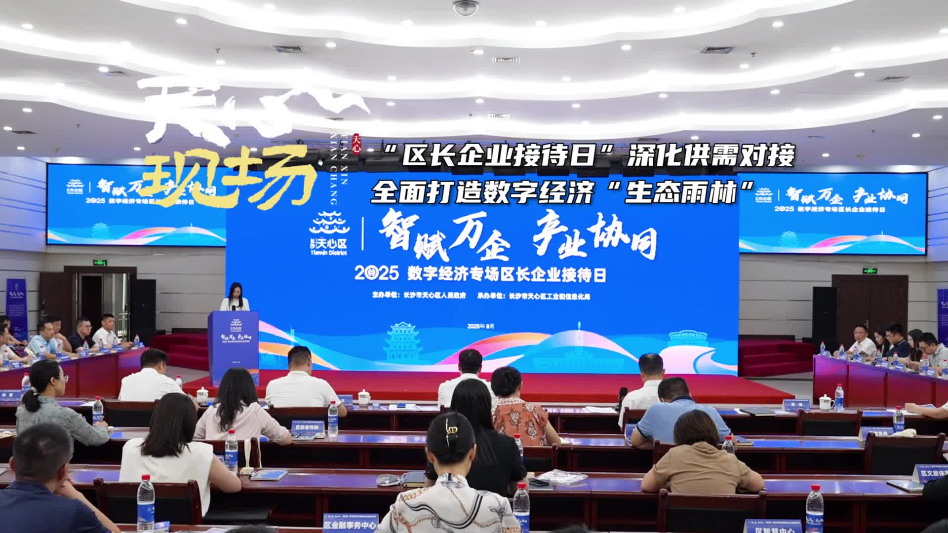 天心现场㉘丨“区长企业接待日”深化供需对接 全面打造数字经济“生态雨林”