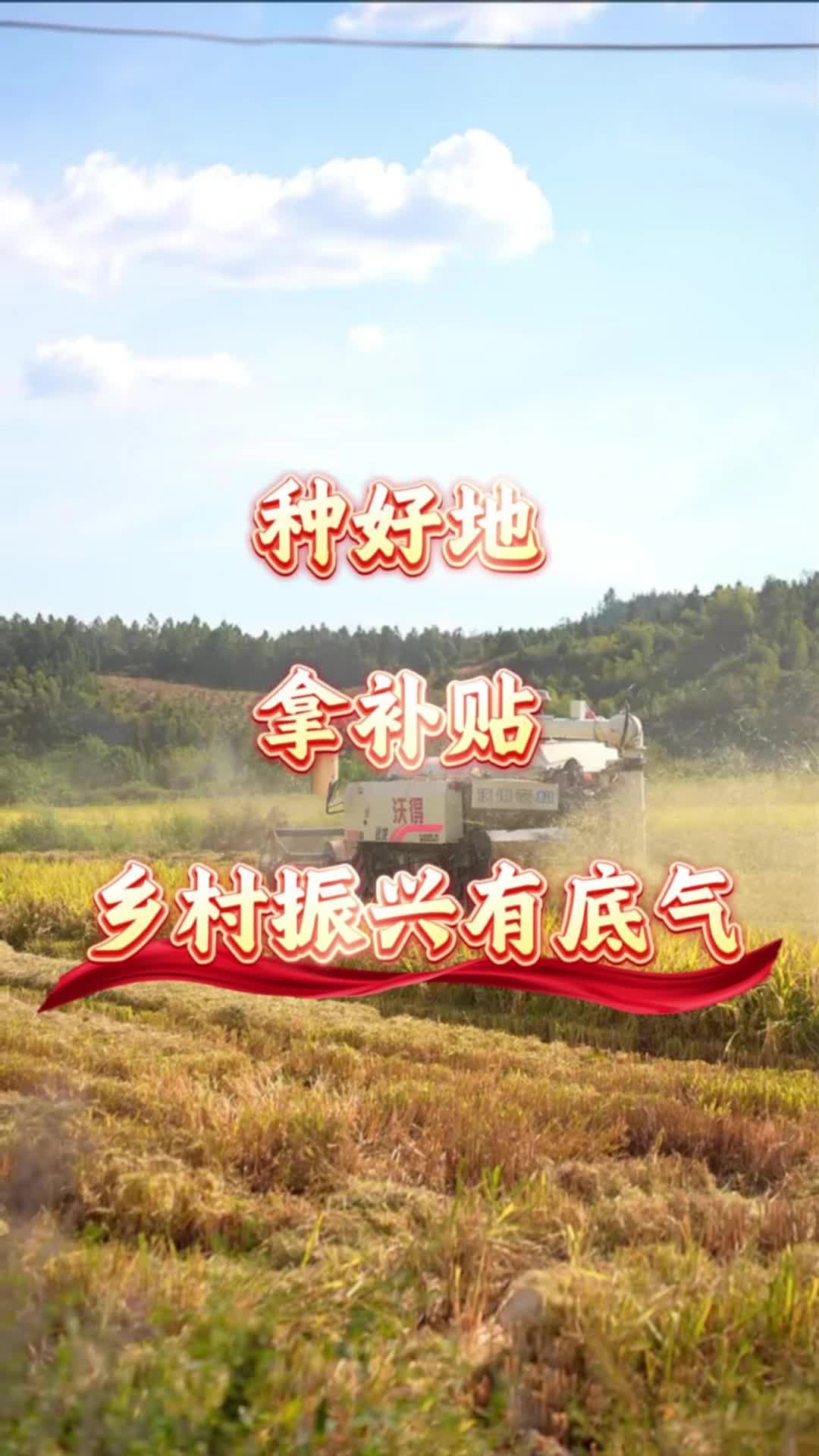 種地有“錢”途，湖南今年種田有“三重禮”