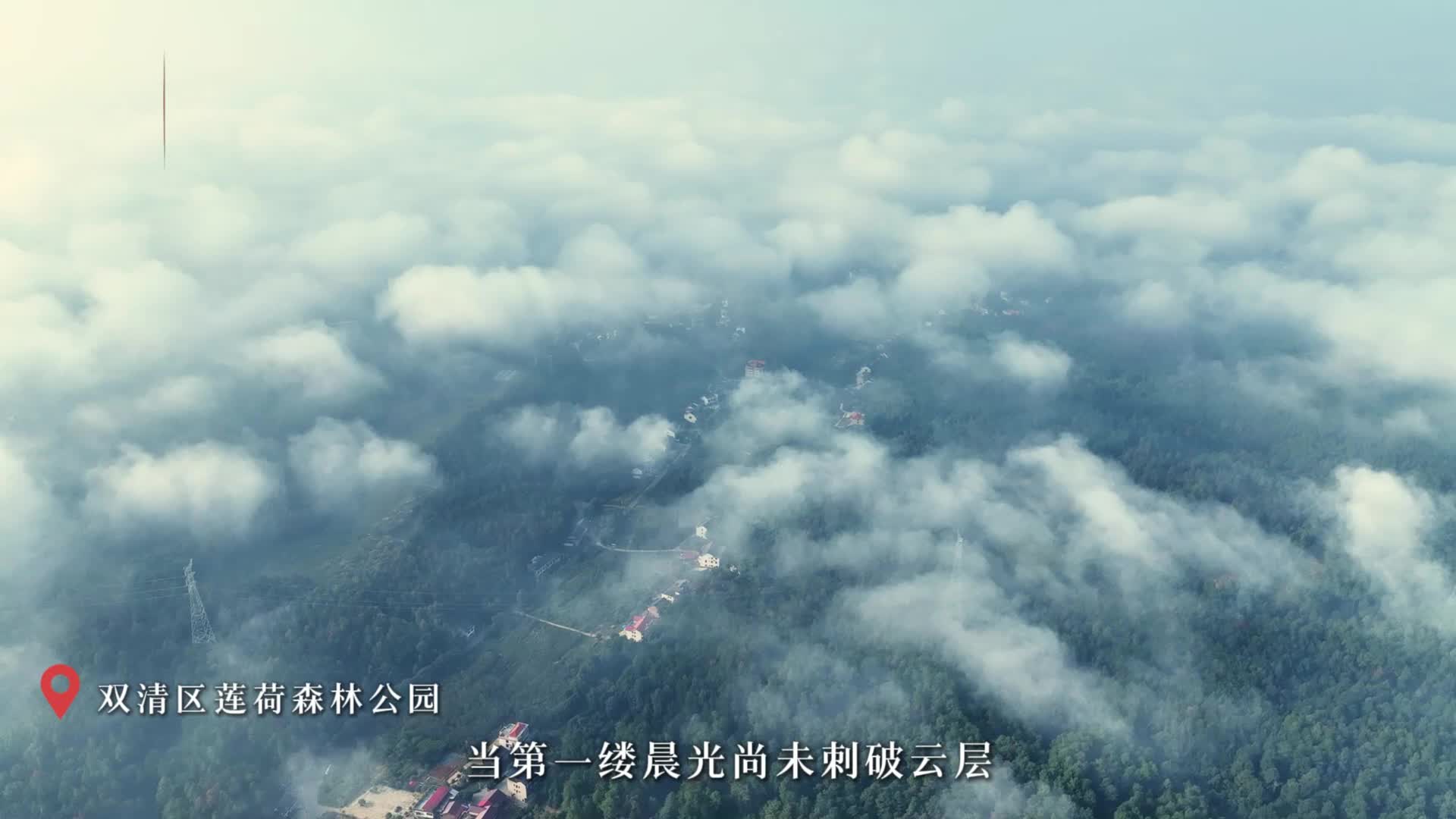 双清莲荷：雾笼翠林 水墨丹青