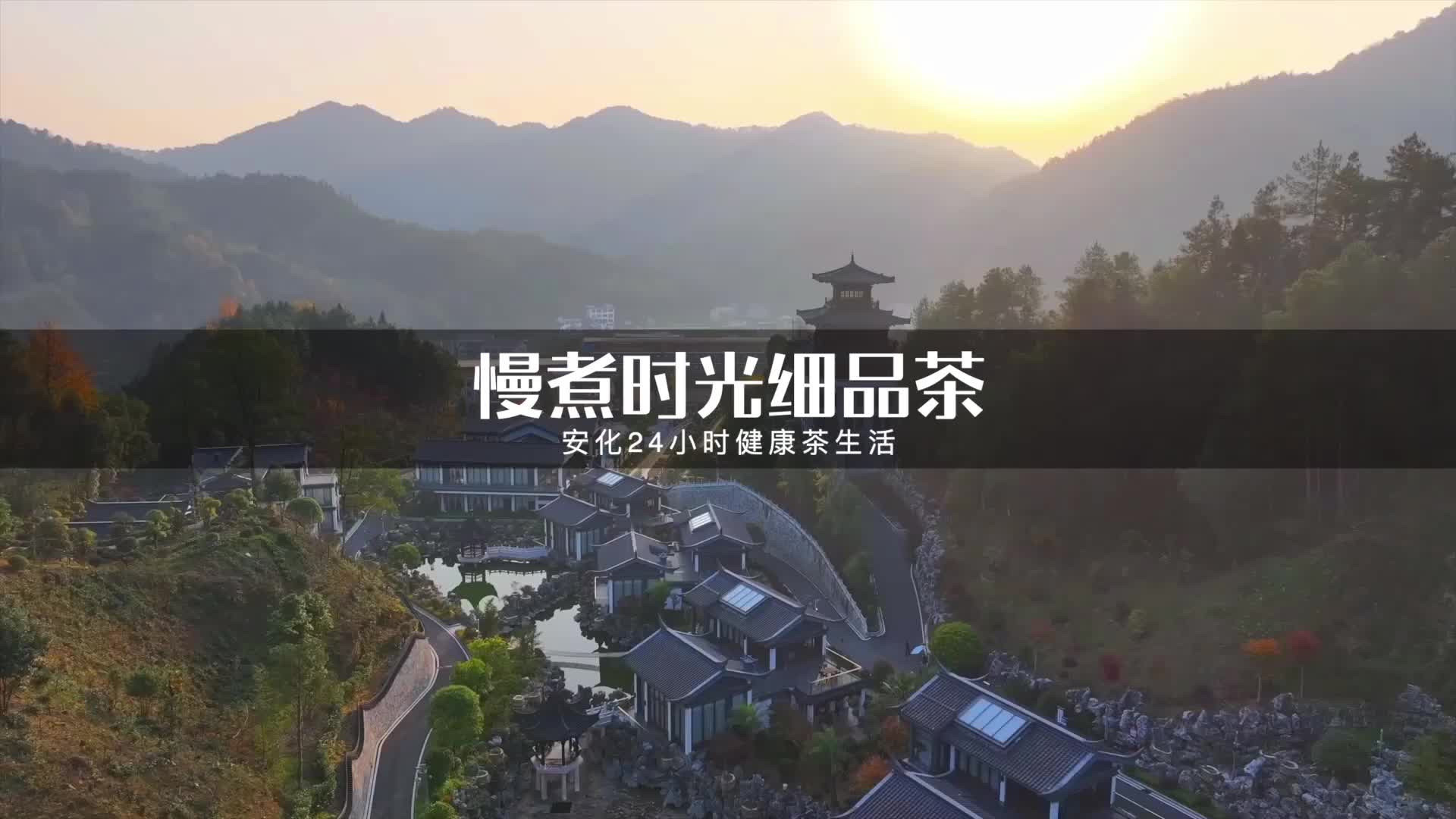 快乐“双节”请加“益”⑭︱来安化茶山漫步、古镇寻味，把中秋月泡出黑茶香