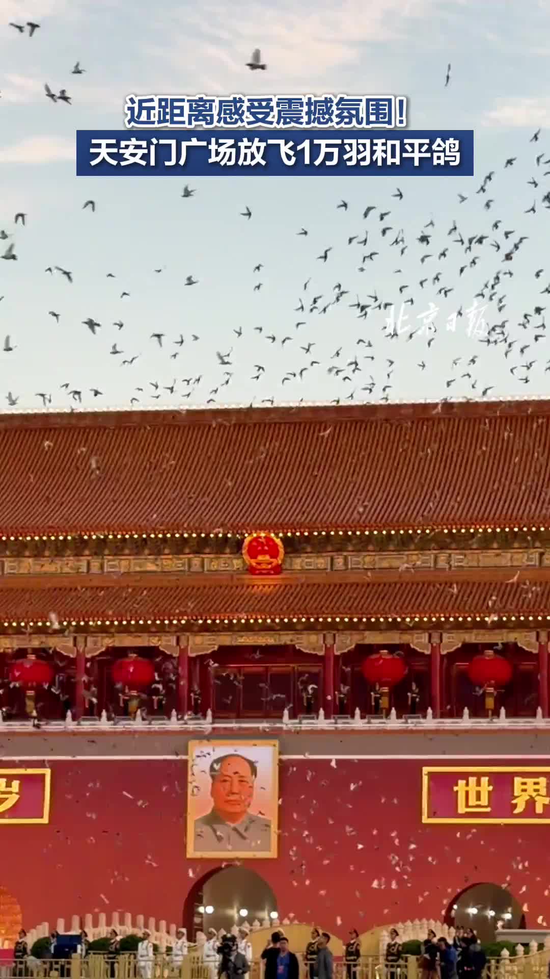 近距离感受震撼氛围!天安门广场放飞1万羽和平鸽