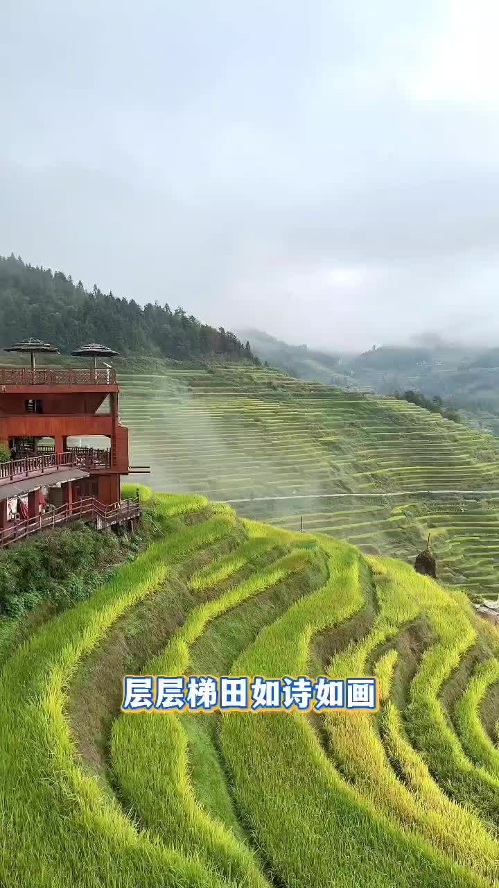 迎国庆·乐中秋|紫鹊界梯田美翻，这样出行最安全