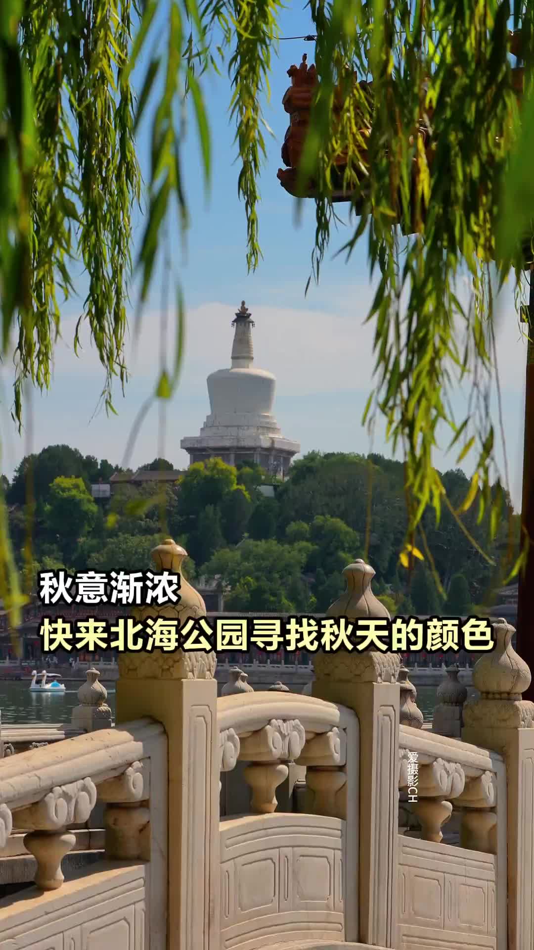 秋意渐浓,快来北海公园寻找秋天的颜色