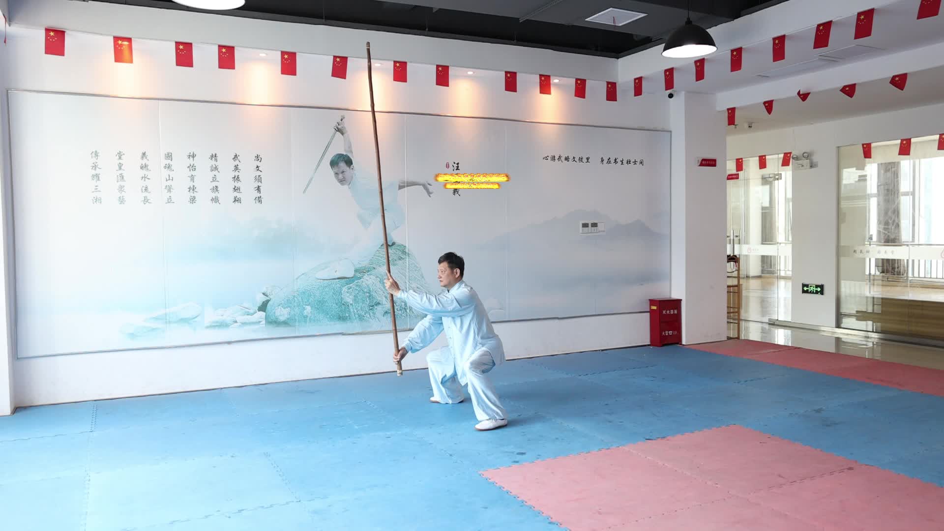 王拳范棍