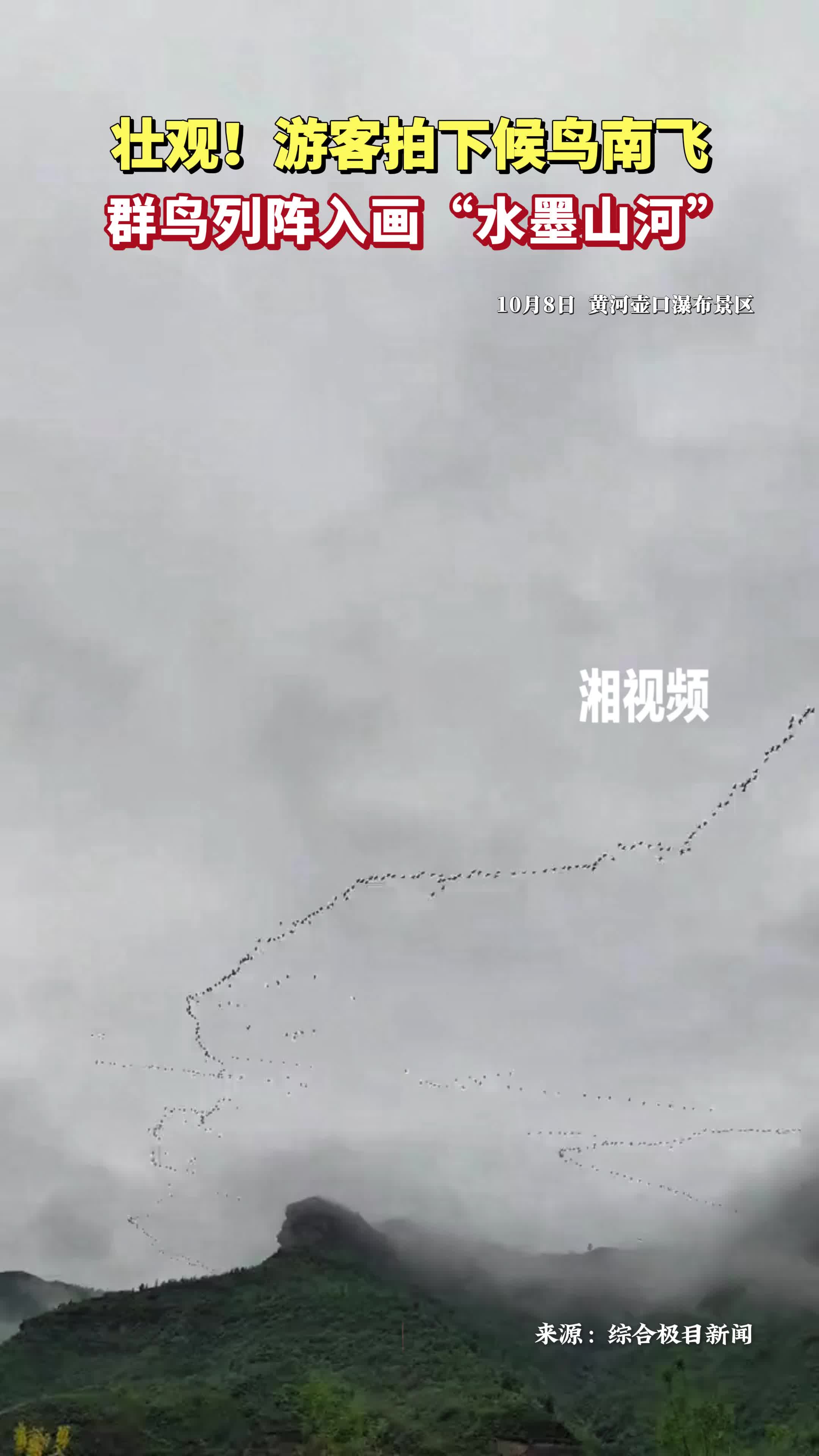 壮观！游客拍下候鸟南飞 群鸟列阵入画“水墨山河”
