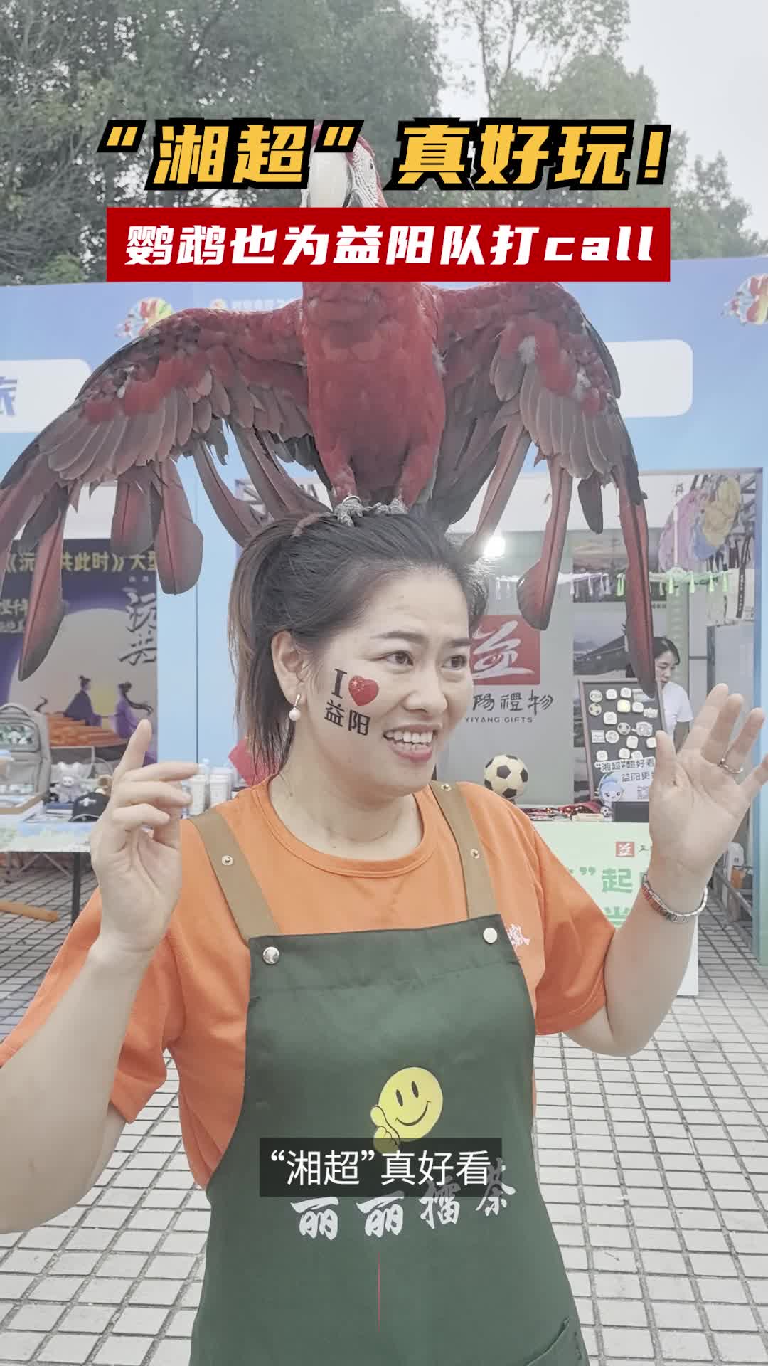 湘超超好玩！鹦鹉也为益阳队打call