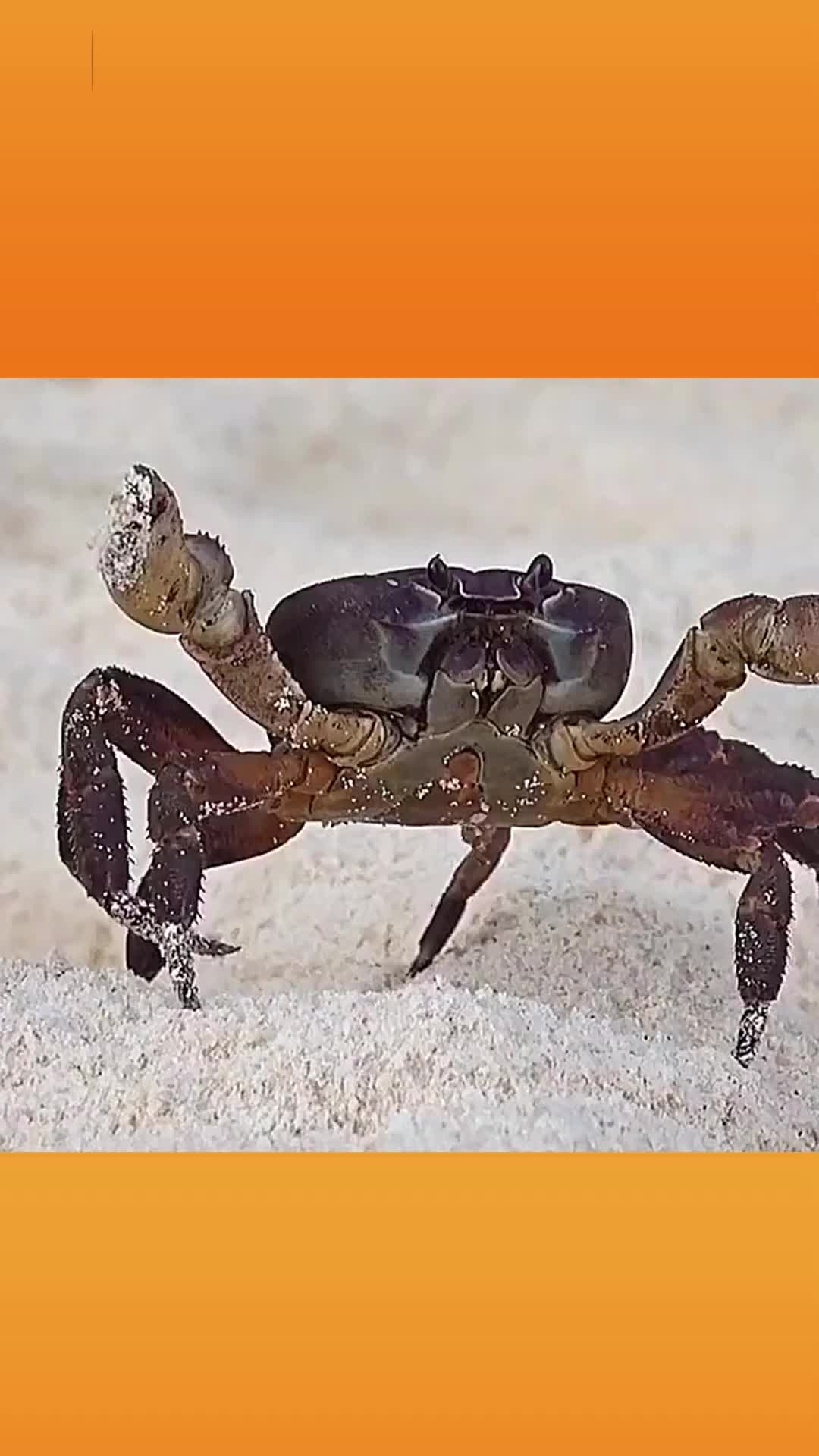 在秋天，中医建议这些美食可多吃……