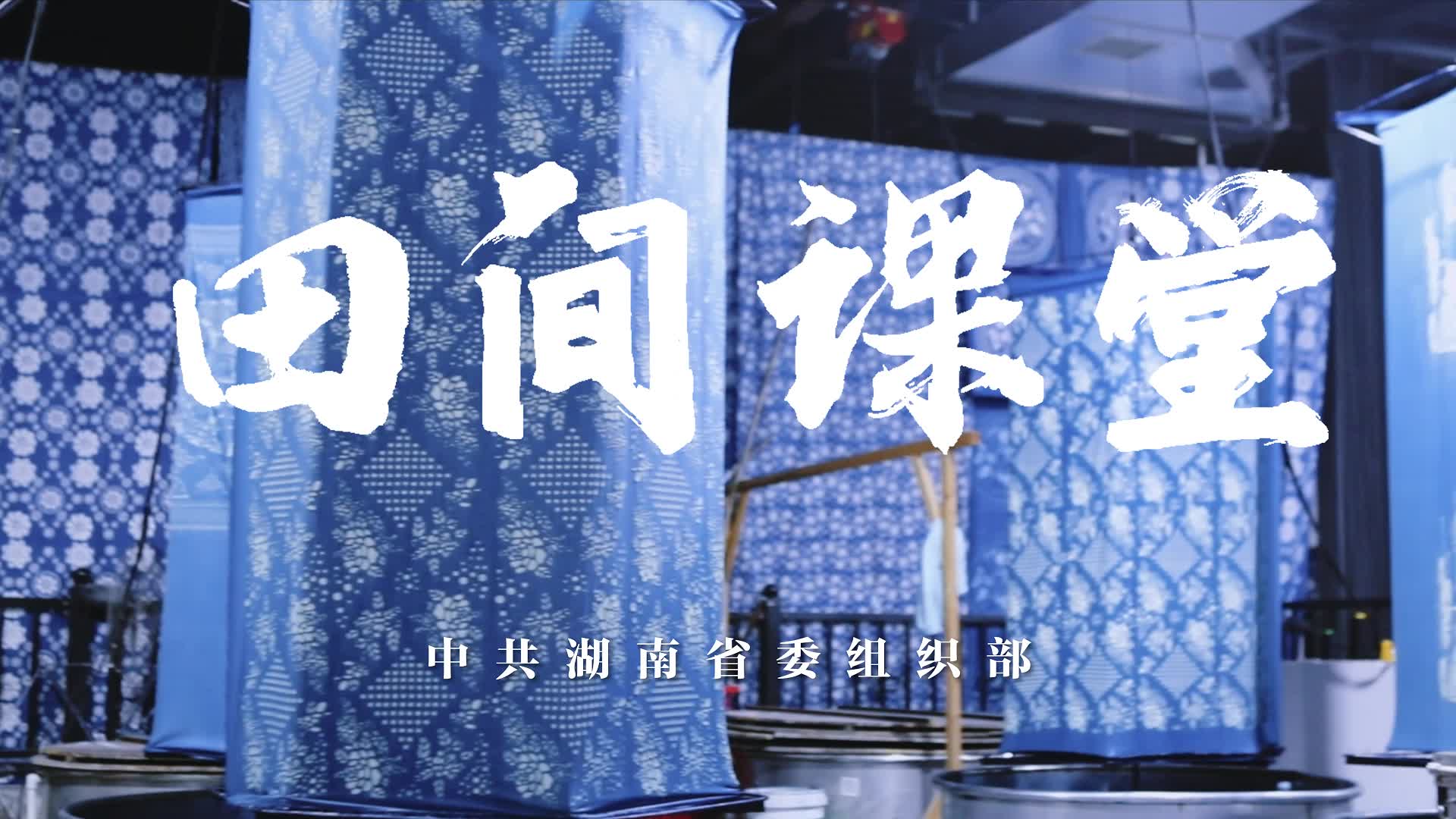 《田间课堂》走进邵阳县塘渡口镇