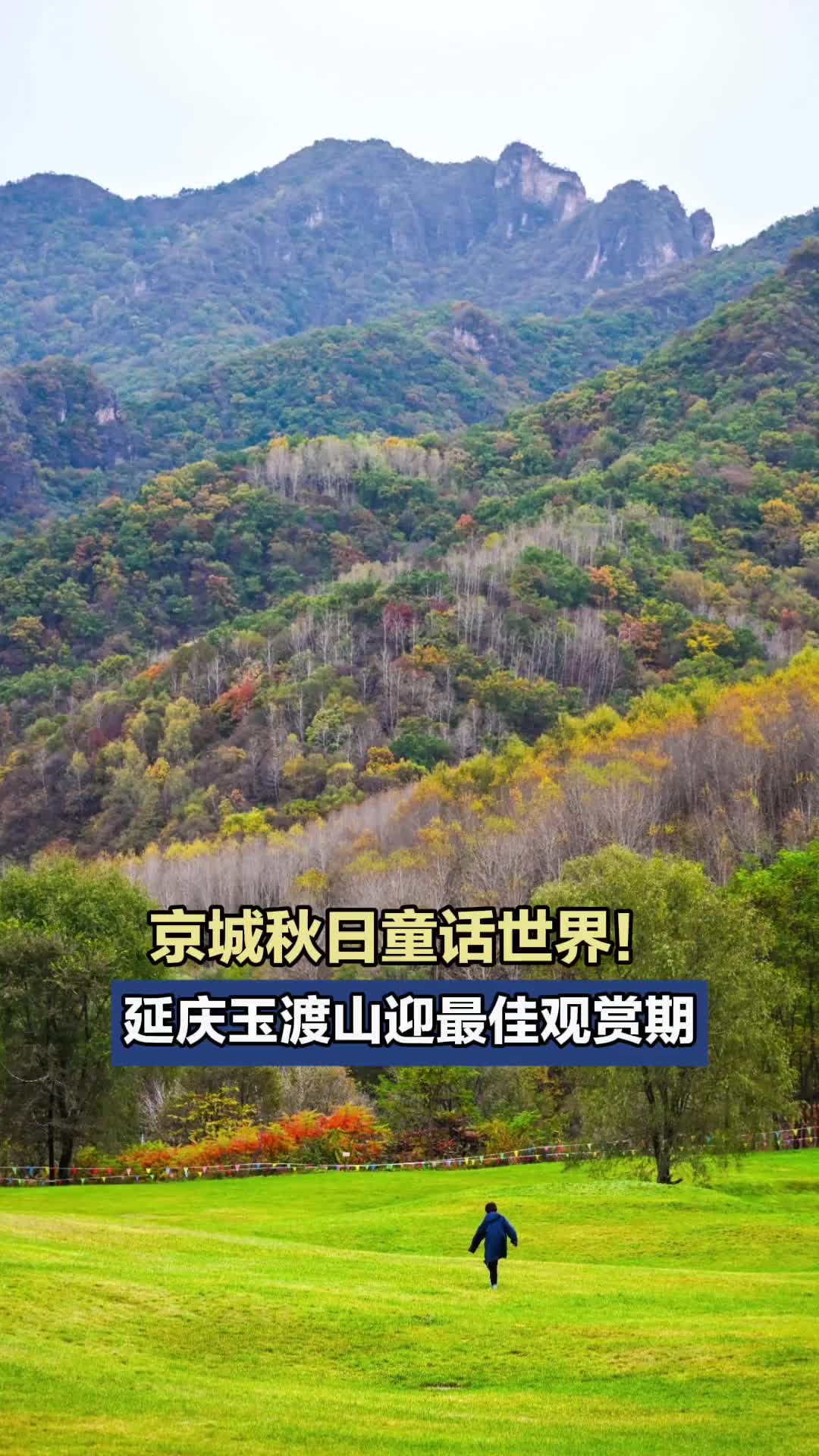 京城秋日童话世界！延庆玉渡山迎最佳观赏期